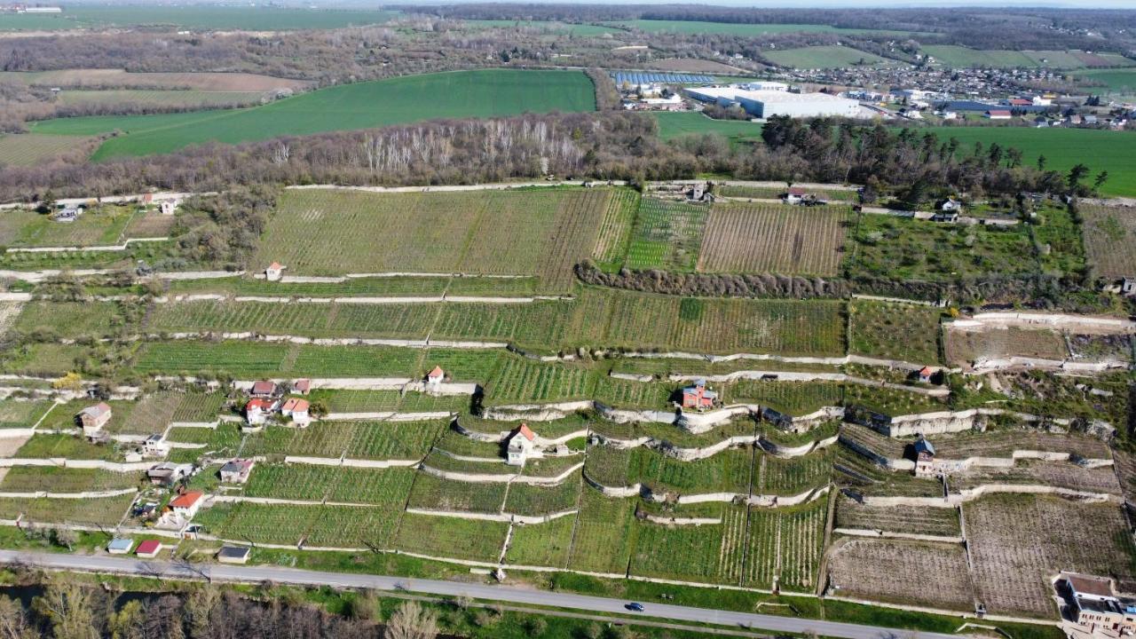 Ferienhaus Traminer Im Weinberg 伏里堡 外观 照片