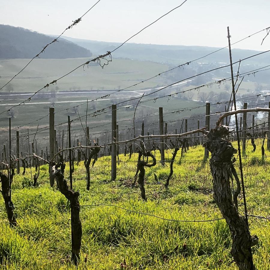 Ferienhaus Traminer Im Weinberg 伏里堡 外观 照片